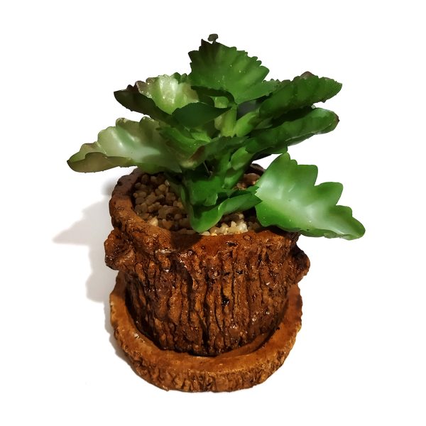 گلدان به همراه کاکتوس مصنوعی مدل تنه درختی کد 21741-فروشگاه اینترنتی دارلین