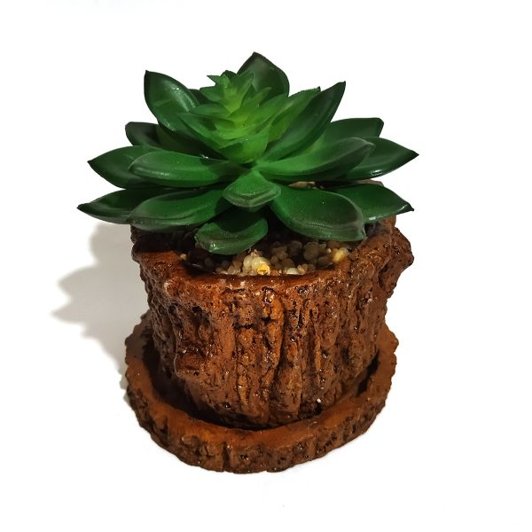 گلدان به همراه کاکتوس مصنوعی مدل تنه درختی کد 21744-فروشگاه اینترنتی دارلین